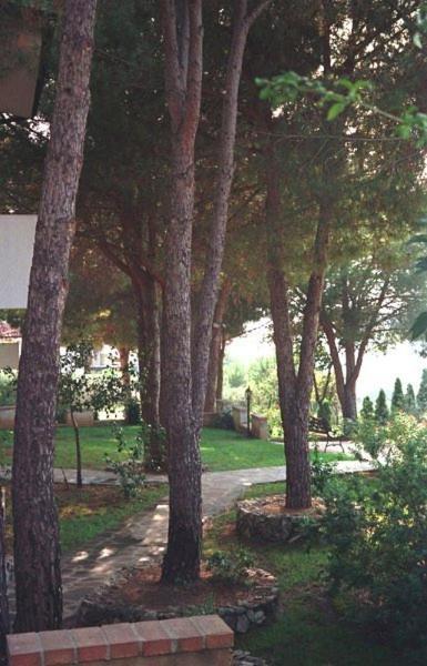 Villaggio Pineta Petto Bianco Капо-Ватикано Экстерьер фото