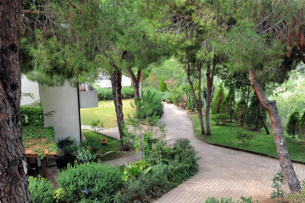 Villaggio Pineta Petto Bianco Капо-Ватикано Экстерьер фото